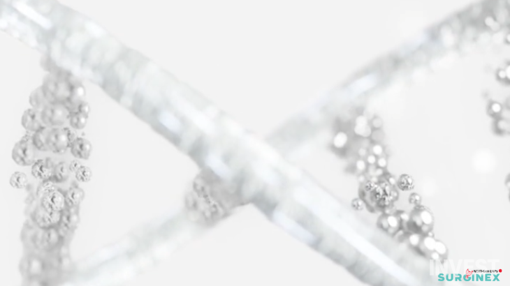 출처 = 서지넥스