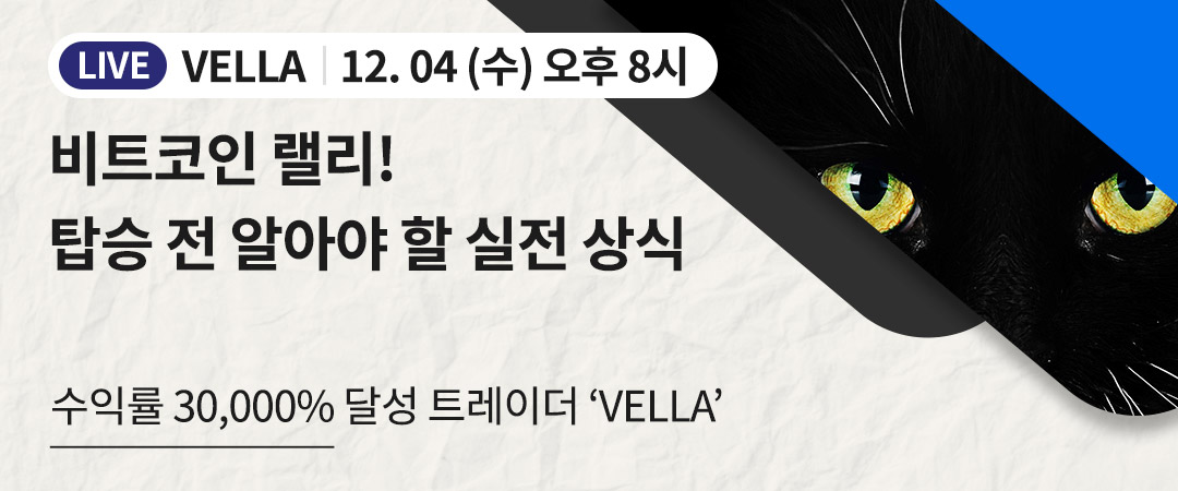 VELLA 유료 강의