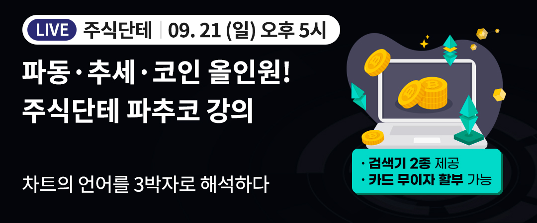 주식단테 파추코 강의