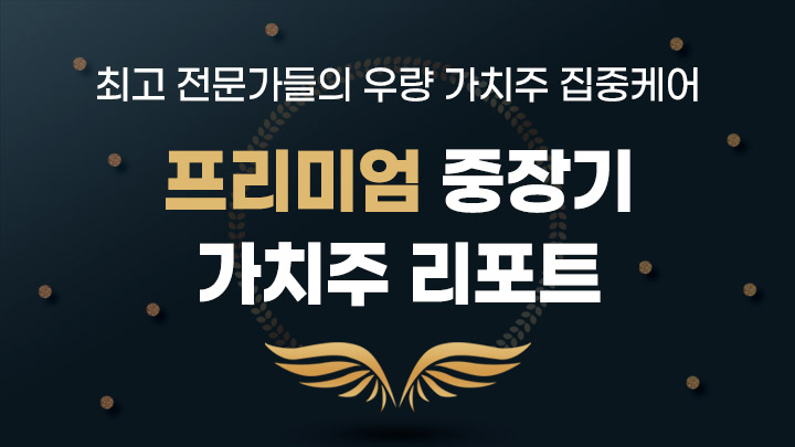 프리미엄 중장기 가치주 분석리포트