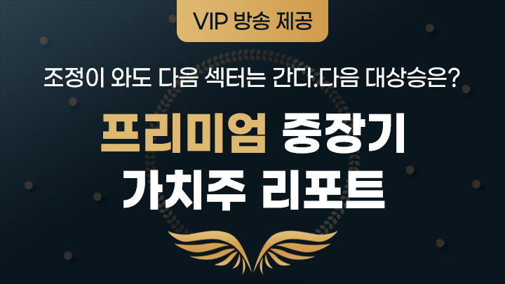 프리미엄 중장기 가치주 분석리포트